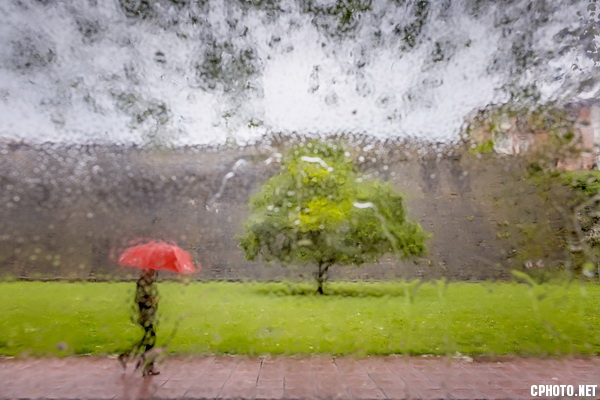 Lluvia en Hondarribia-CEF BRONZE MEDAL.jpg