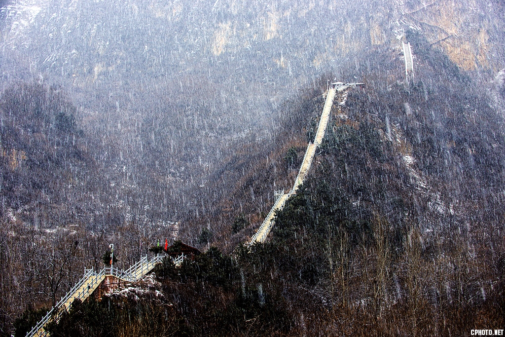 DSC_4990.jpg