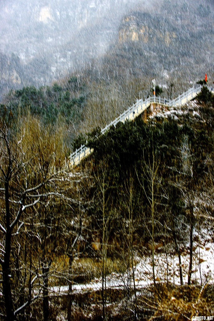 DSC_4992.jpg