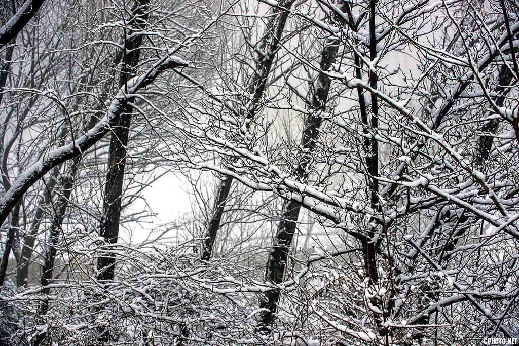 DSC_5233.jpg