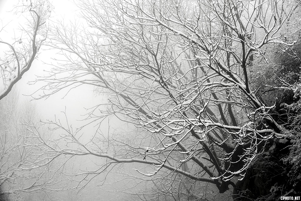 DSC_5256.jpg