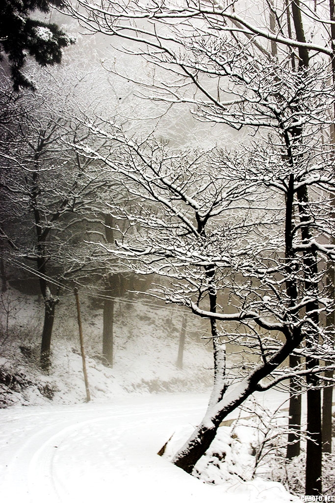 DSC_5265.jpg
