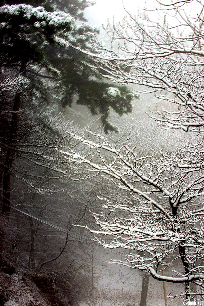 DSC_5271.jpg