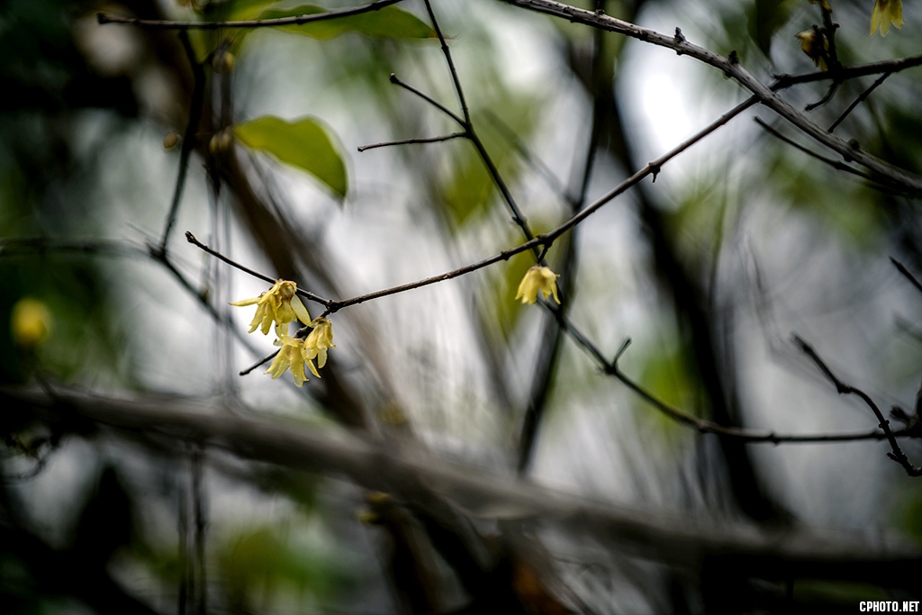 DSC_5489.jpg