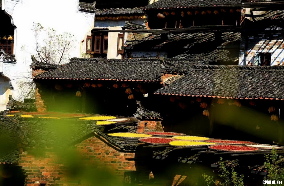 篁岭晒秋_03 - 副本 - 副本.jpg