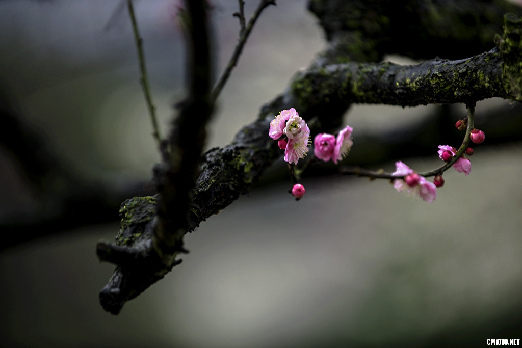 DSC_5769.jpg