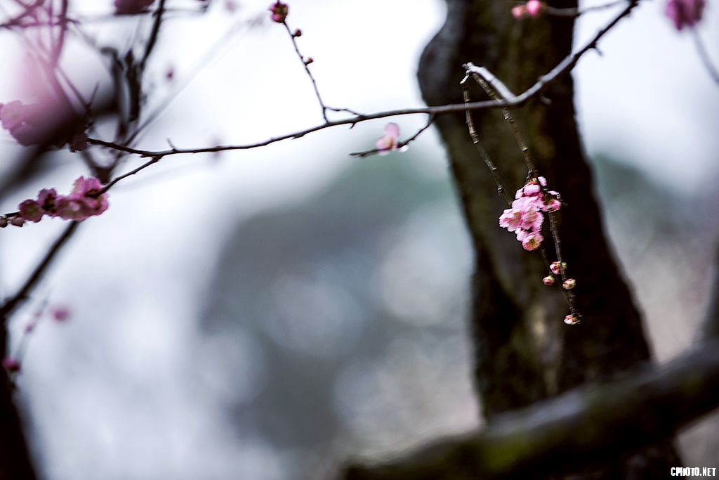 DSC_5770.jpg