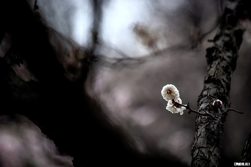 DSC_5824.jpg