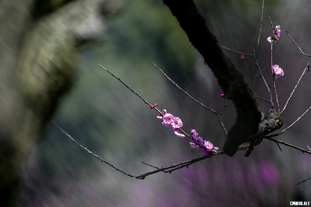 DSC_6258.jpg