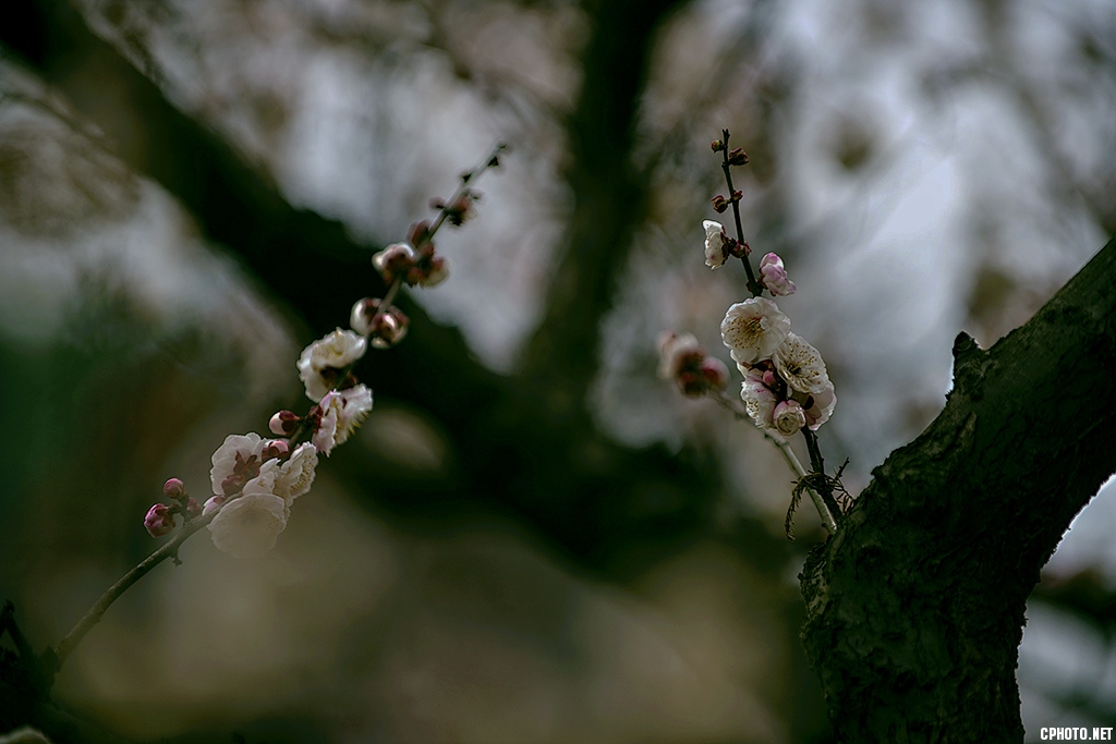 DSC_5836.jpg