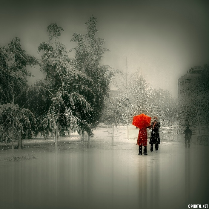Dialogo bajo la nieve_调整大小.jpg
