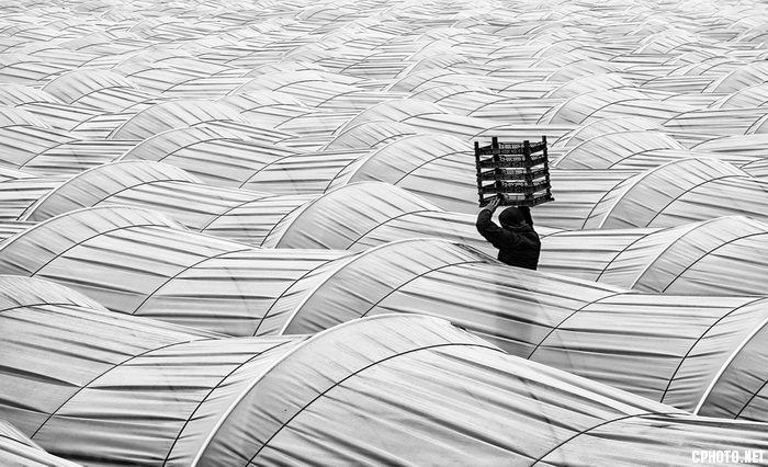 alone man_调整大小.jpg
