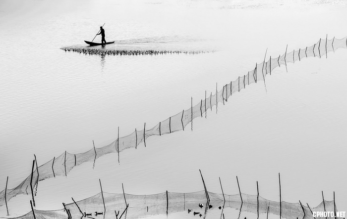 Ballad of grazing_调整大小.jpg