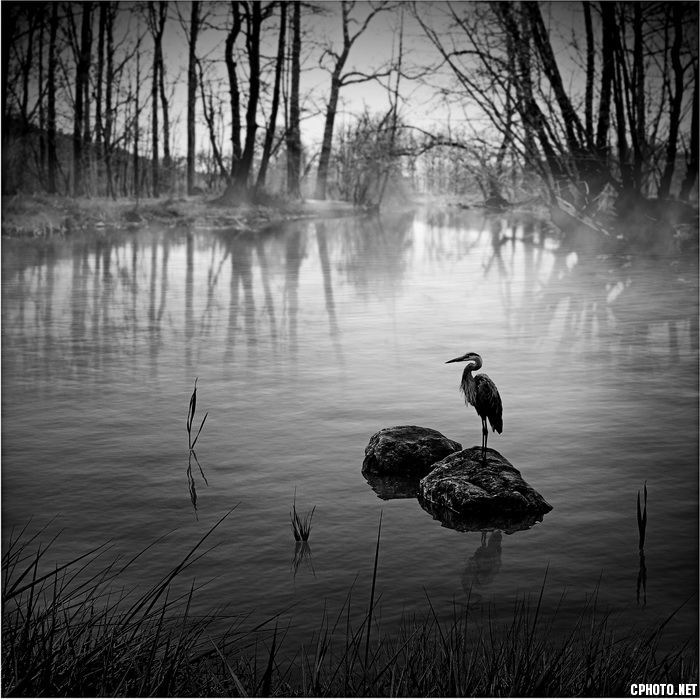 Encuentro en el Lago_调整大小.jpg