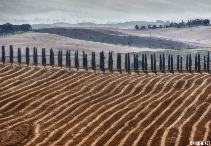 Stripes Toscane_调整大小.jpg