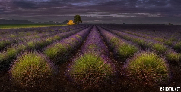 provence_調整大小.jpg