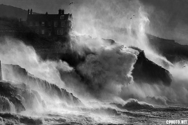 gale force_調整大小.jpg