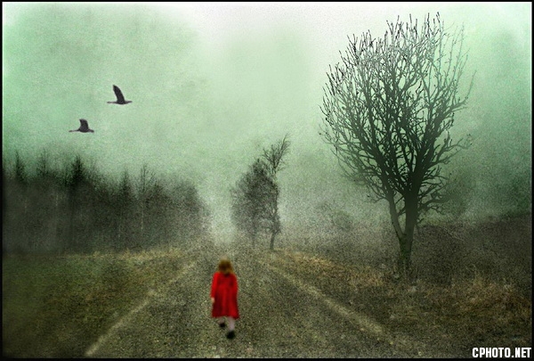 foggy walk_调整大小.jpg