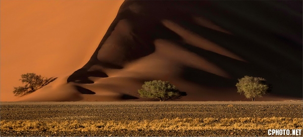 sand dunes sossusvlei_调整大小.jpg