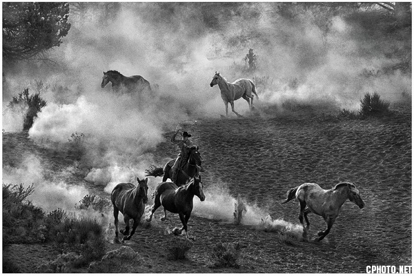 old west venture_调整大小.jpg