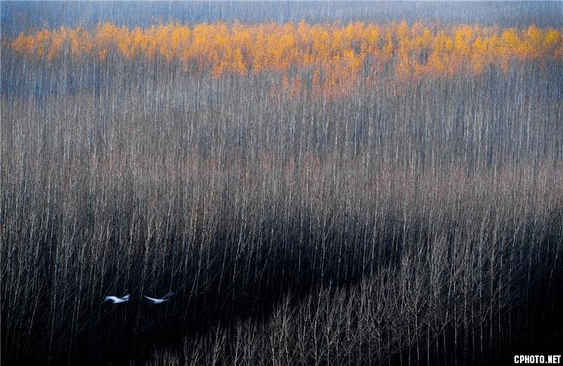 Late autumn.jpg