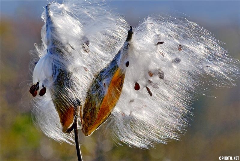 In wind.jpg