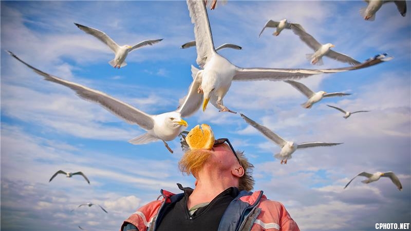 Mouth feeding.jpg