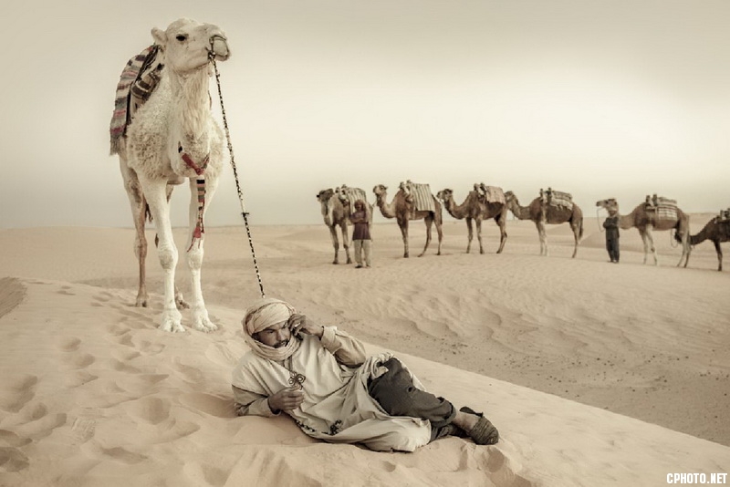 master of desert2_调整大小.jpg