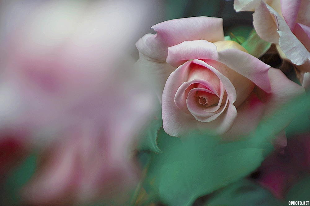 DSC_3352 (2).jpg