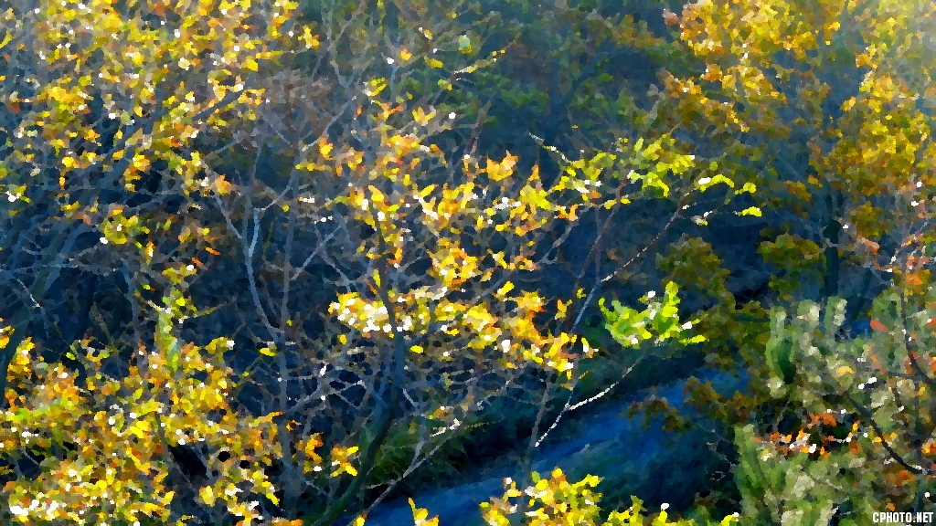 DSCF0183.JPG