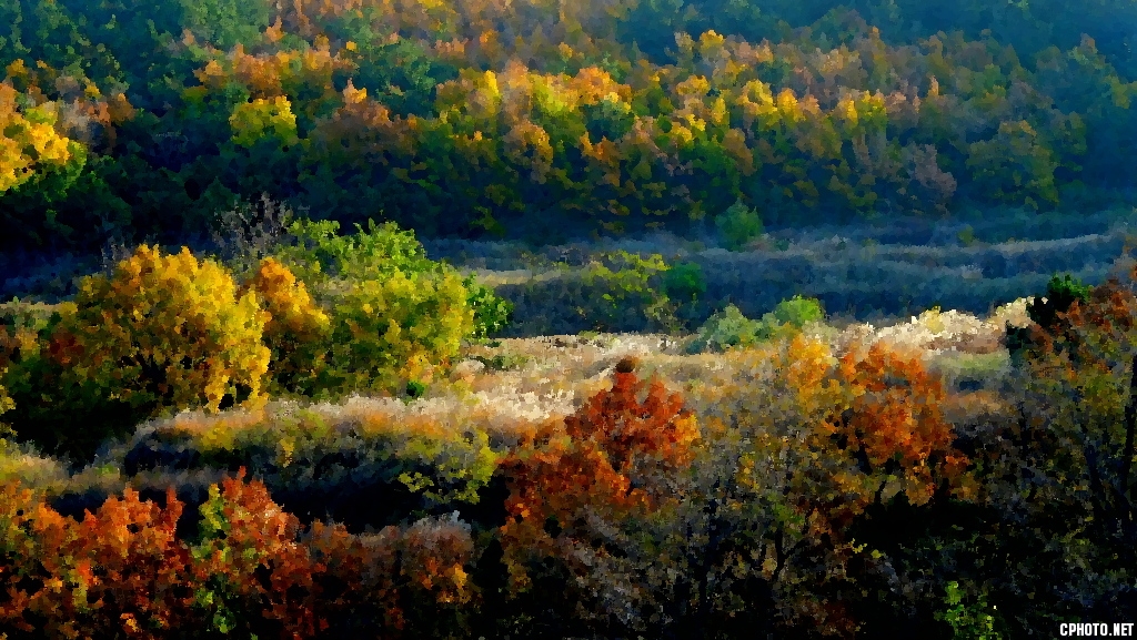 DSCF0152.JPG