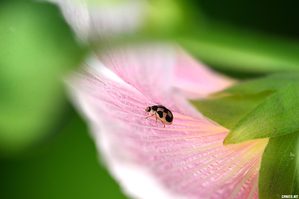 DSC_5366_副本.jpg