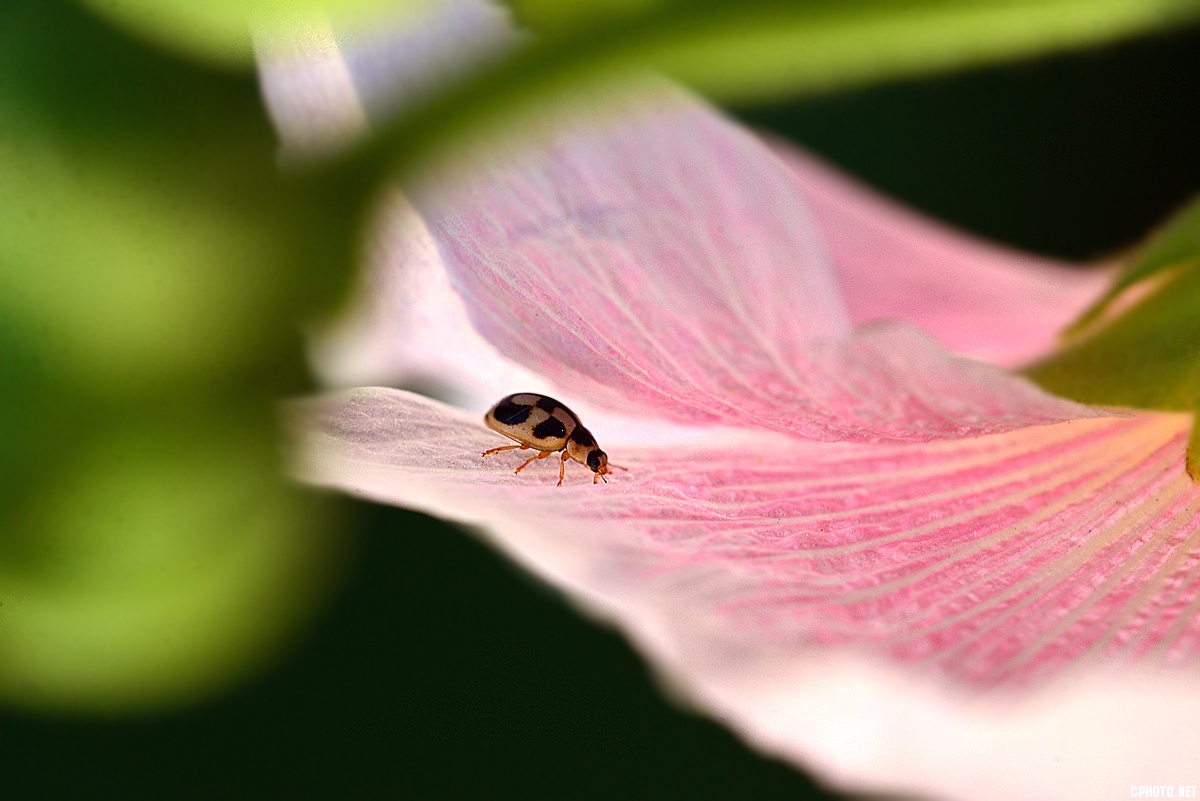 DSC_5383_副本_副本.jpg