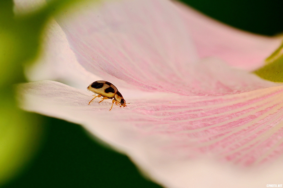 DSC_5385_副本.jpg