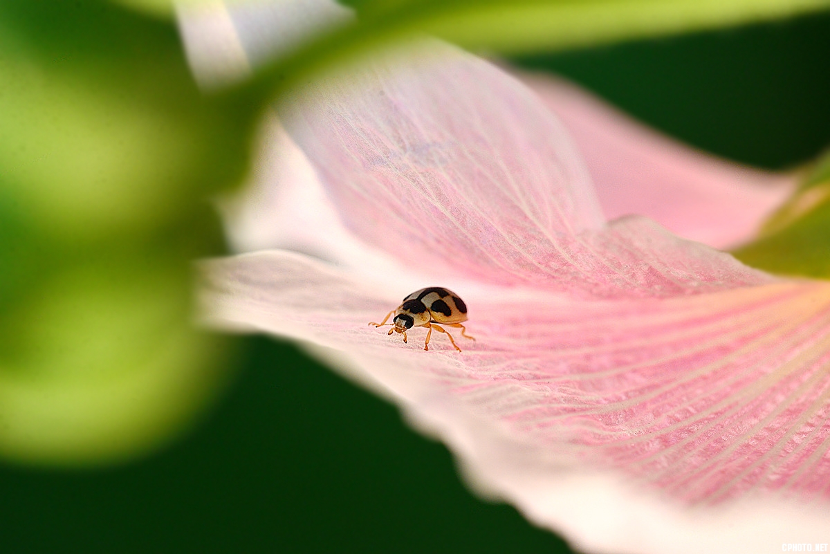 DSC_5381_副本.jpg