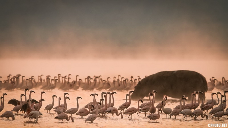 early morning walk_调整大小.jpg