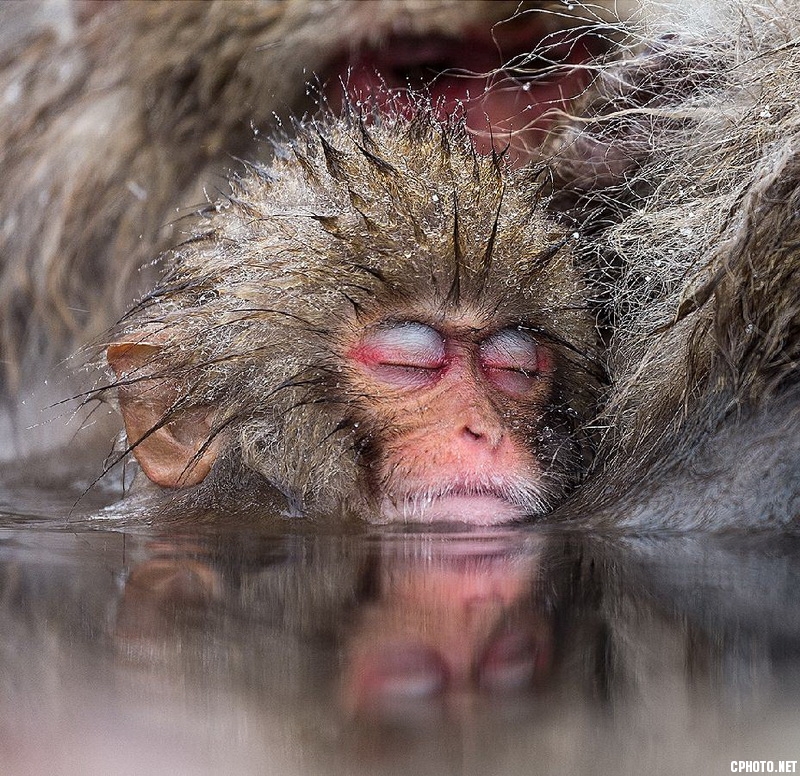 fast asleep_调整大小.jpg