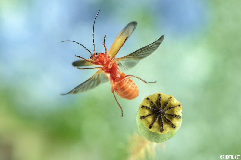 fly away_调整大小.jpg