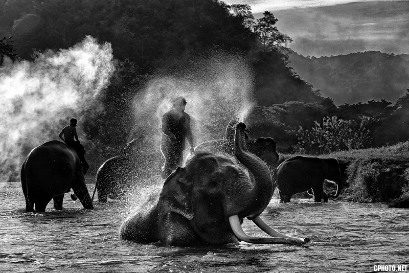 elephant bath_调整大小.jpg