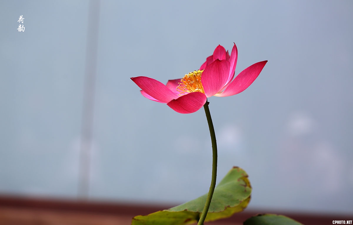 **_008006.jpg