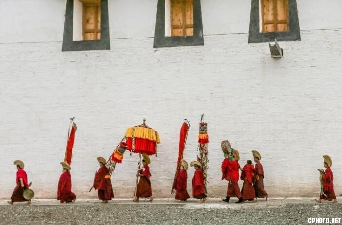 A Group Samll Lama.jpg