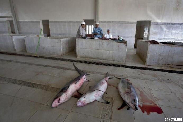On a fish market 2.jpg