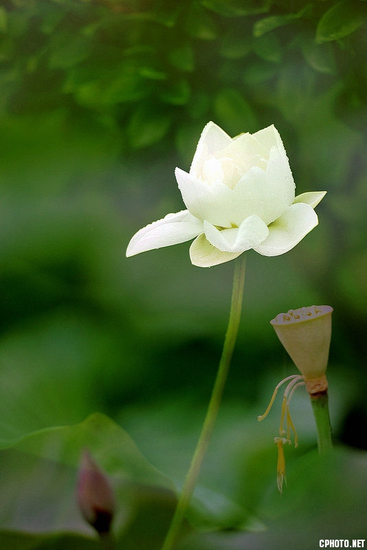 DSC_8020_副本.jpg