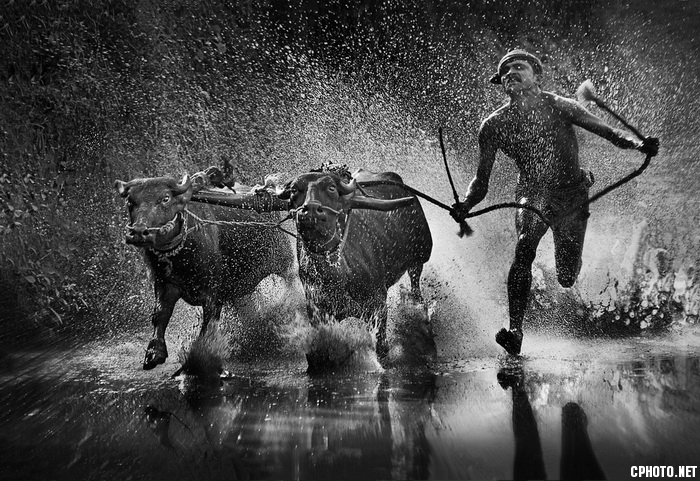 Kambala_调整大小.jpeg