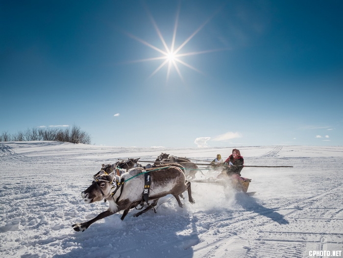 Racing on the reindeerYamal_調整大小.jpeg