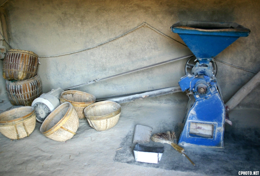 wsx0133.jpg