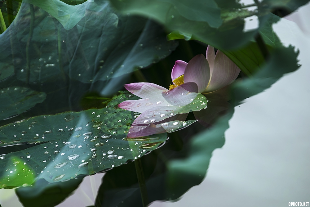 DSC_3517.jpg