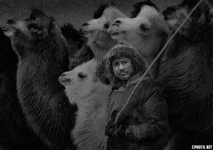 Camels-BW_调整大小.jpg