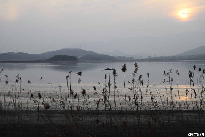 _DSC8886.jpg