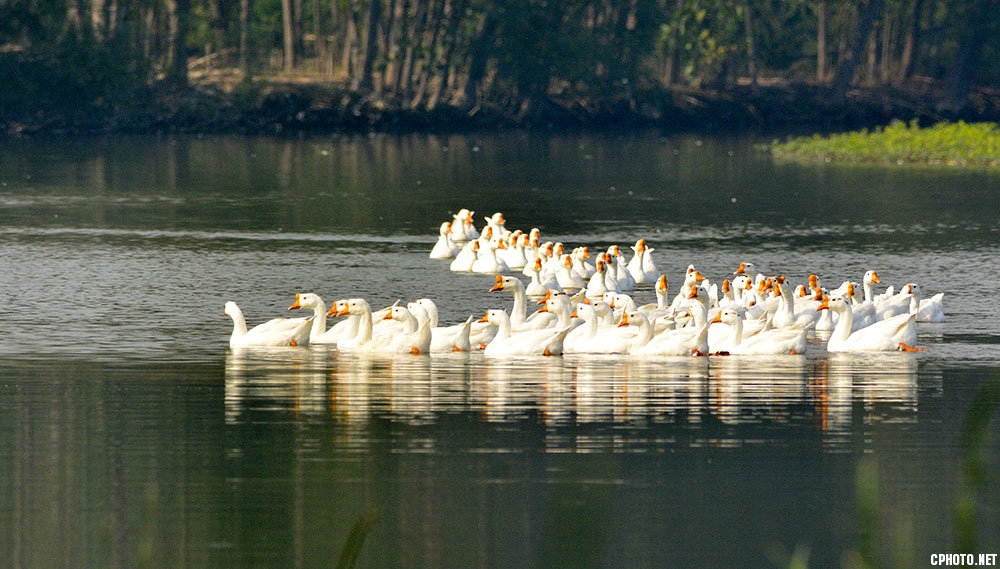 _OSC0425.jpg